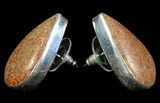 Agatized Dinosaur Bone (Gembone) Earrings & Pendant Set #69968-3